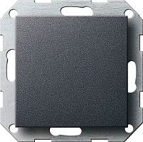 Заглушка без рамки Gira System55 1-м. антрацит картинка